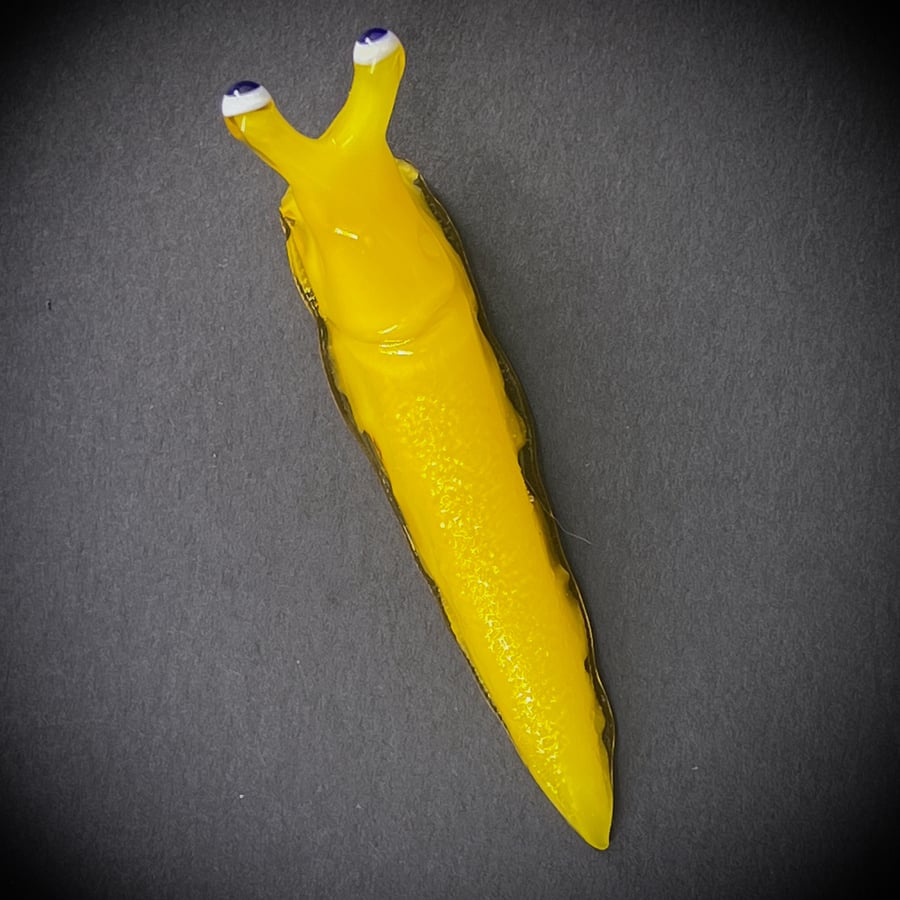 Image of Yellow Boro Slug