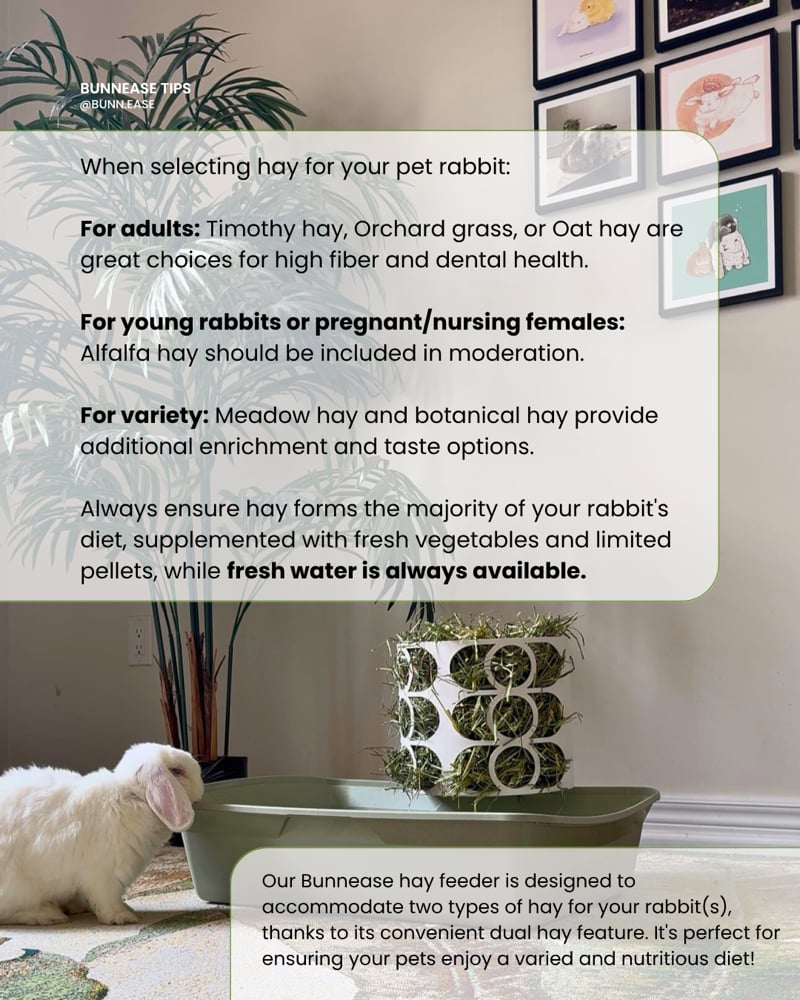 Image of Mrs. CleanHay Ⓓ - High Quality Metal Double Hay Feeder for Rabbits