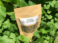 Lucid Dream Loose Leaf Multi-Use Tea