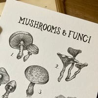 Image 2 of Mushrooms & Fungi A4 Print