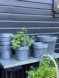 Image 3 of Tinware Pot 