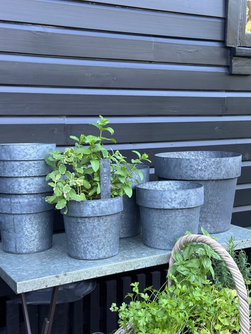 Image of Tinware Pot