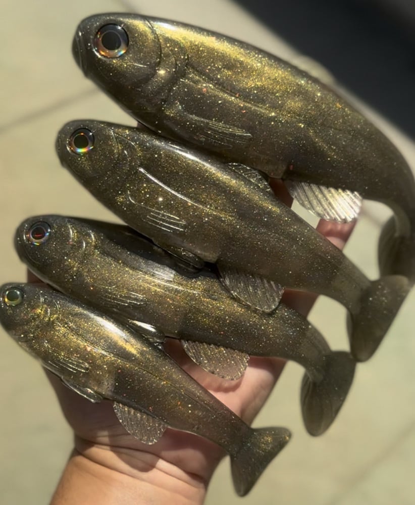 Roma Trout - Carp Shiner - Image 2