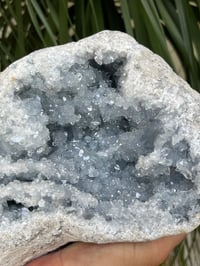 Image 22 of Celestite Geode #1801