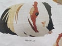 Rocket & Co. - Guinea Pig Breeds tea towel