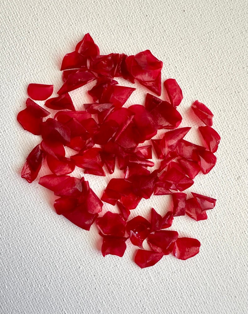 Image of Dyed fish scales - Red