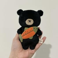 American Black Bear Baby