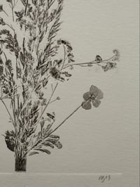 Image 3 of Bouquet 01 - A4 - Original Botanical Monoprint
