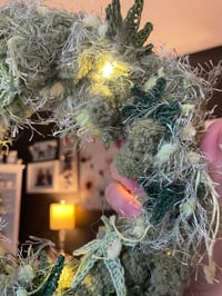 Image 4 of Shady Acres Strain 8" Wreath