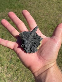 Image 10 of Black Kyanite Fan Specimen #1975