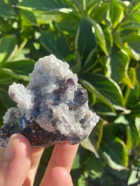Image 2 of Red Sphalerite with Quartz on Galena 