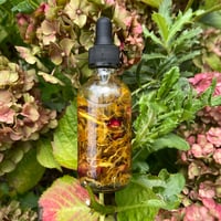 Image 2 of Herb Infused Hair & Body Oil
