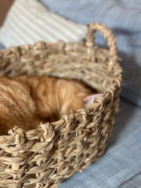 Image 7 of Panier tressé (3 tailles disponibles)