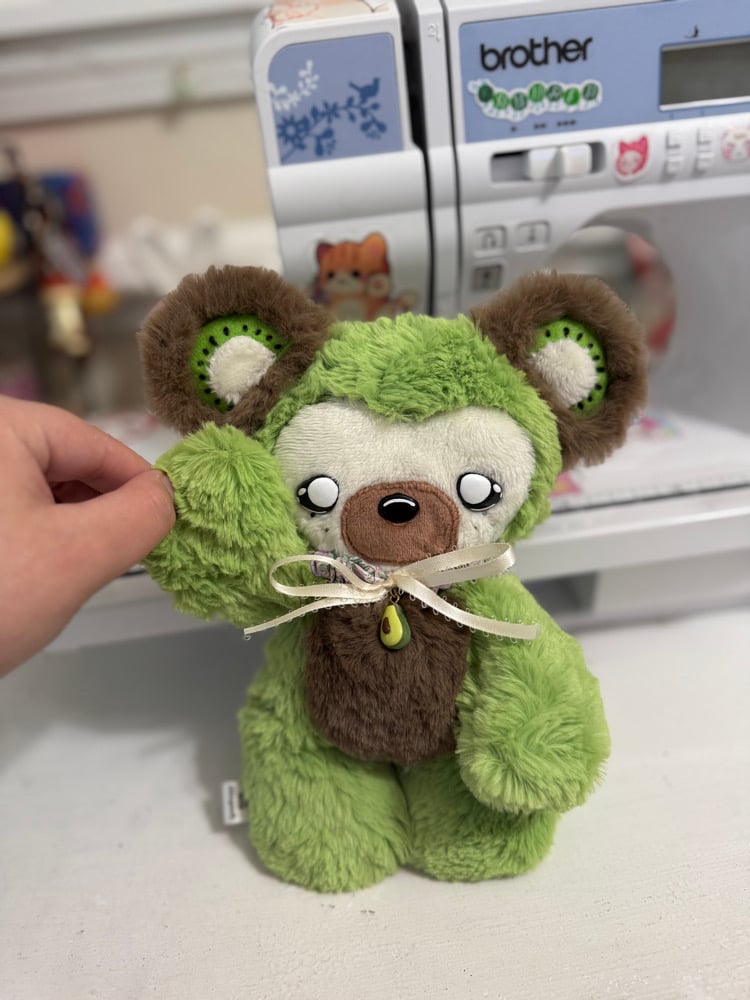 Image of kiwi 🐻🥝 