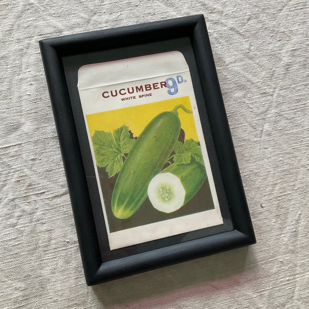 Image of Cucumber