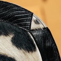 Image 2 of Rodeo King
