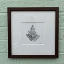 Image 1 of £50 originals - Royal Fern , pointillism