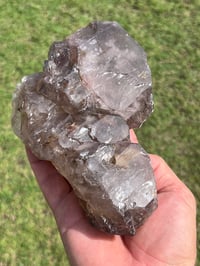 Image 13 of Smoky Quartz & Red Rutile Enhydro Multi Terminated Crystal | Zambia #3052