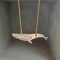 The Lightning and The Whale