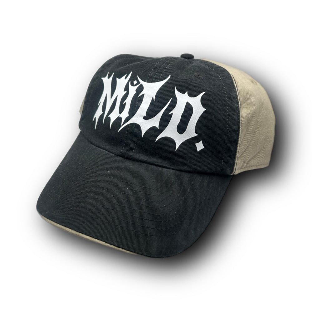 Image of THRASH HAT
