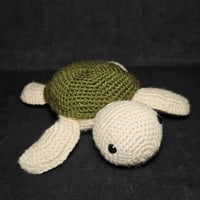 Image 1 of Small sea turtle 