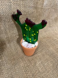Image 3 of Cactus