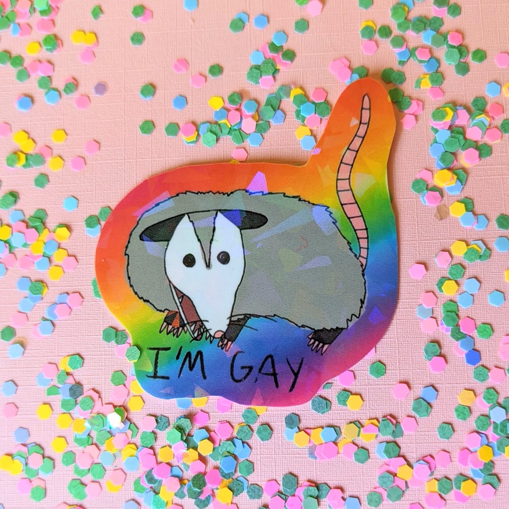 Image of Pride Possum Stickers