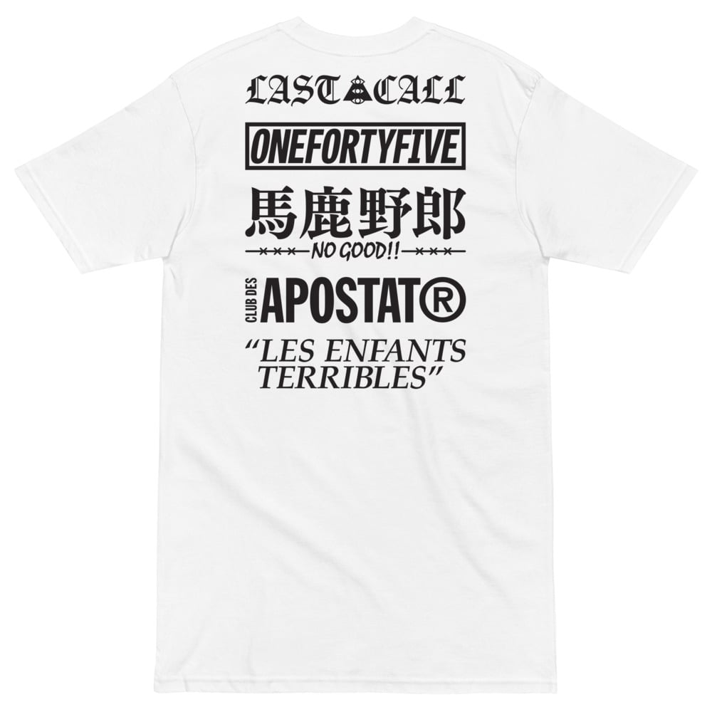 APOSTAT vs 145 Heavyweight tee