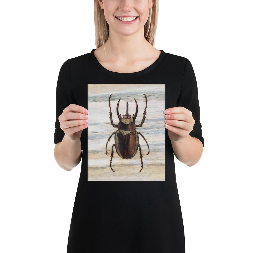 Photo Print: Atlas Beetle Closed