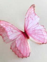 Image 2 of Strawberry (Larger single butterfly)