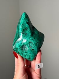 Image 4 of LARGE MALACHITE FREEFORMS