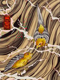 Two Birds