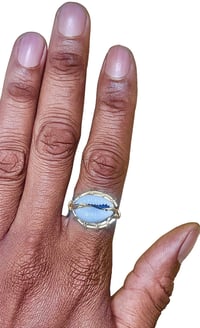 Image 2 of Single Cowry Shell Ring