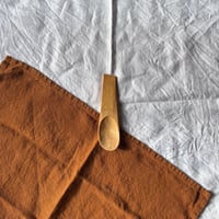 Image 1 of Serving Scoop