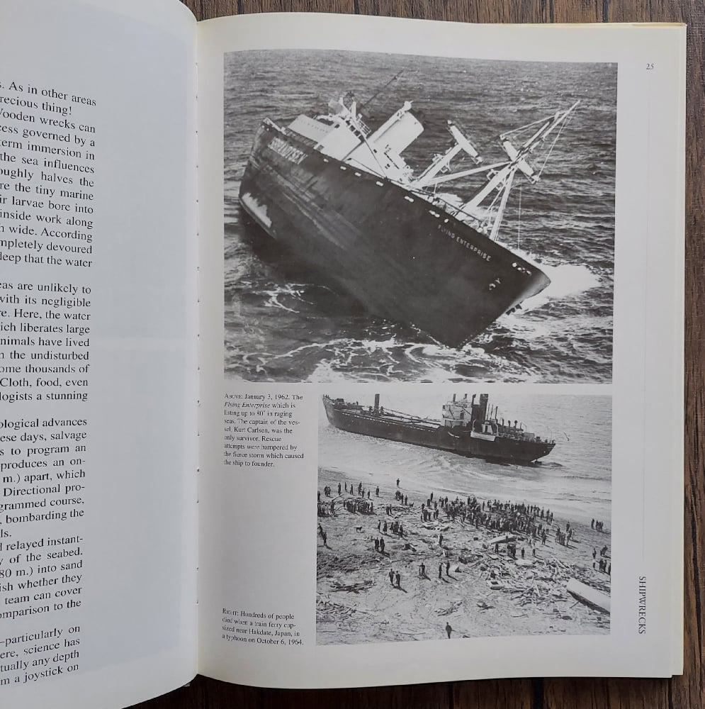 Shipwrecks, by Karen Farrington