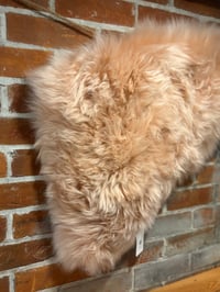 Image 3 of PINK TONGUE