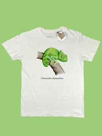 Image 1 of T-shirt CAMALEONTE 