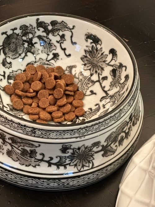 Image of Ceramic Pet Bowl in Black Floral