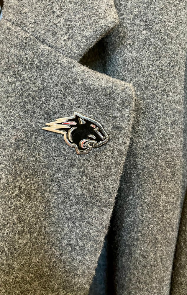 Clark Atlanta University CAU & Panther Lapel Pin Bundle