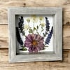 Cosmos, Veronica And Chrysanthemum Wildflowers In 6" X 6" Shadow Box (Item# 202214S)