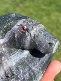 Image 17 of Platypus Fluorite Carving #2919