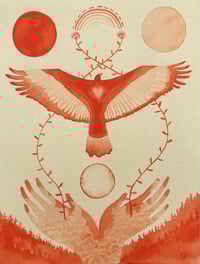 Image 2 of “Cathartes Aura”
