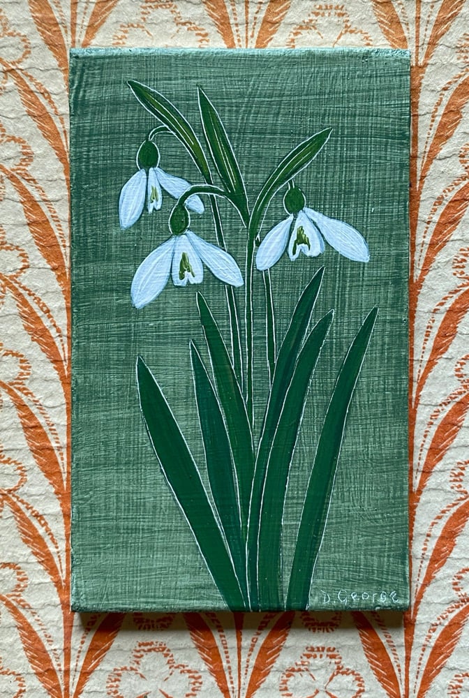 Image of Snowdrop study (B)