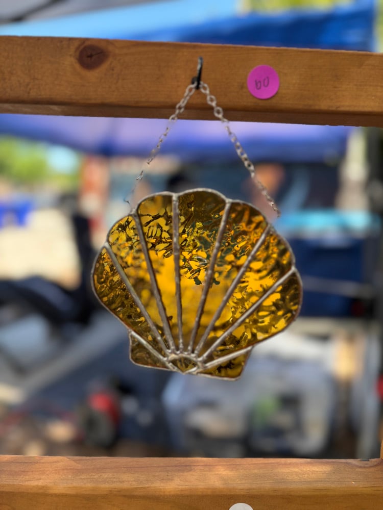 Image of Seashell- Orange