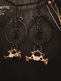 Image 6 of Moon Hoops