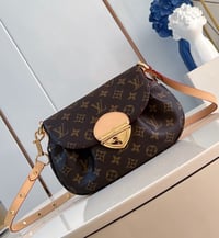Image 7 of ĻV Sunset Bag