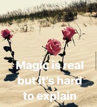 Image 2 of Magic is real but it’s hard to explain 2 
