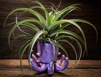 Image 3 of Pothulhu