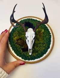 Image 2 of Forest Guardian