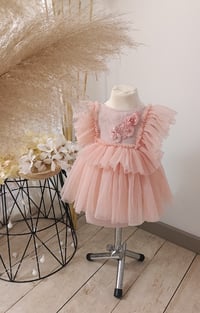 Image 1 of Baby Girl Photo Dress – Elowen – Peach Pink (12 Months)